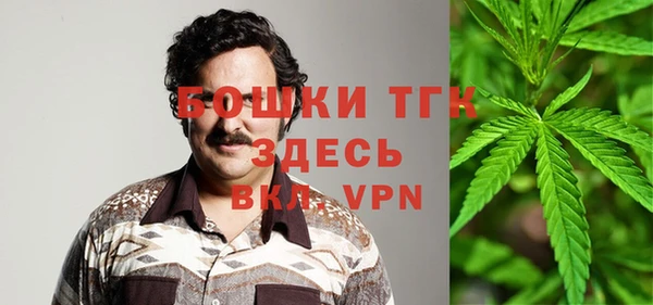 дмт Елизово