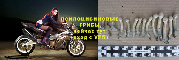 марки lsd Ельня