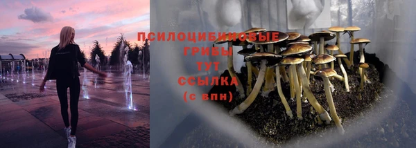 apvp Заволжье