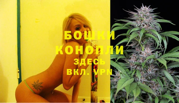 дмт Елизово
