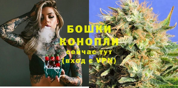 дмт Елизово