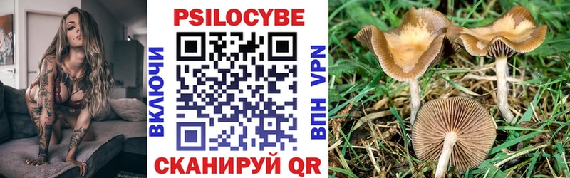 Псилоцибиновые грибы Psilocybe  Купить  Асбест 